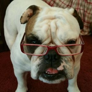 Meet your Posher, Sandy